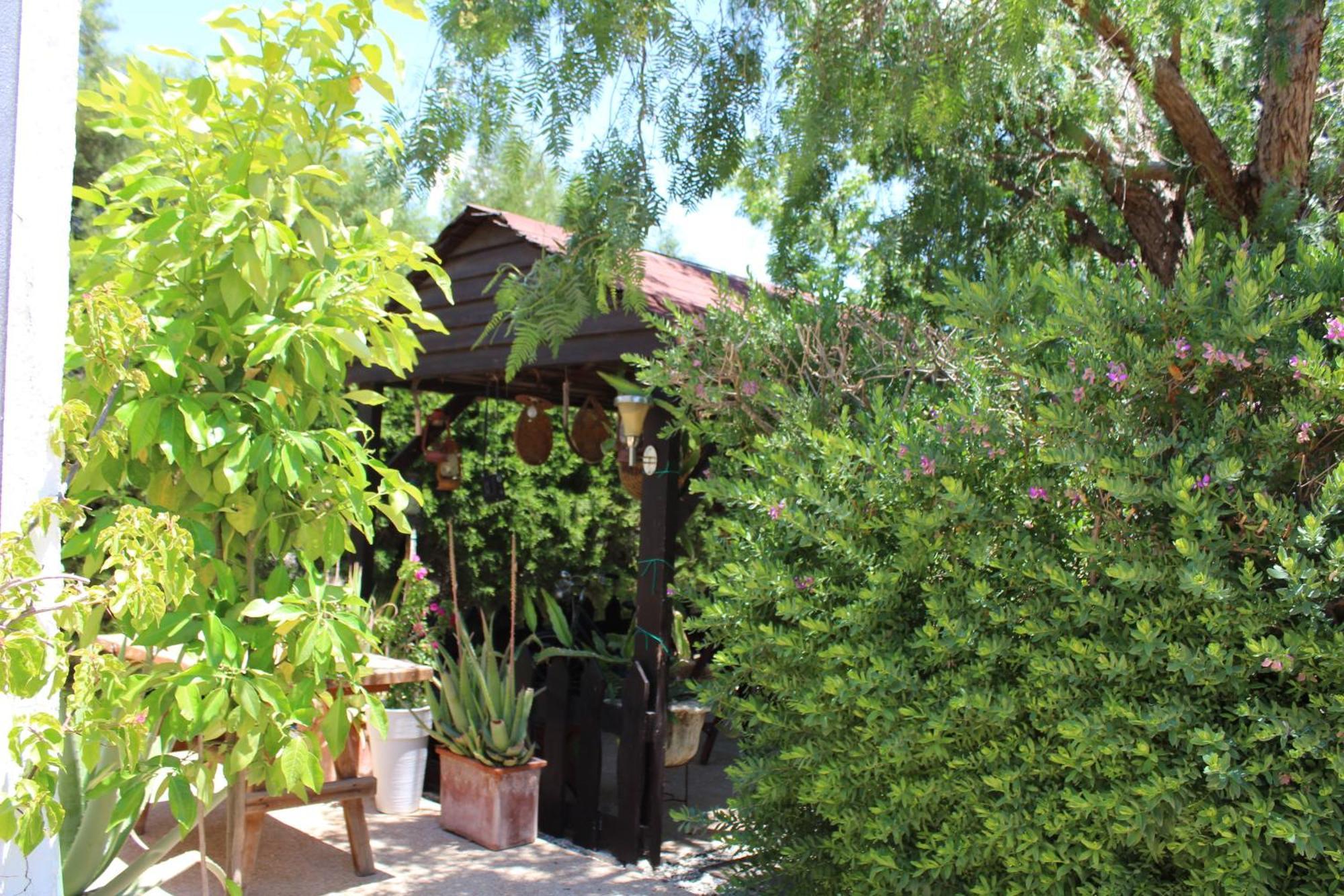Vila St.George'S Country Retreat Lemesos Exteriér fotografie